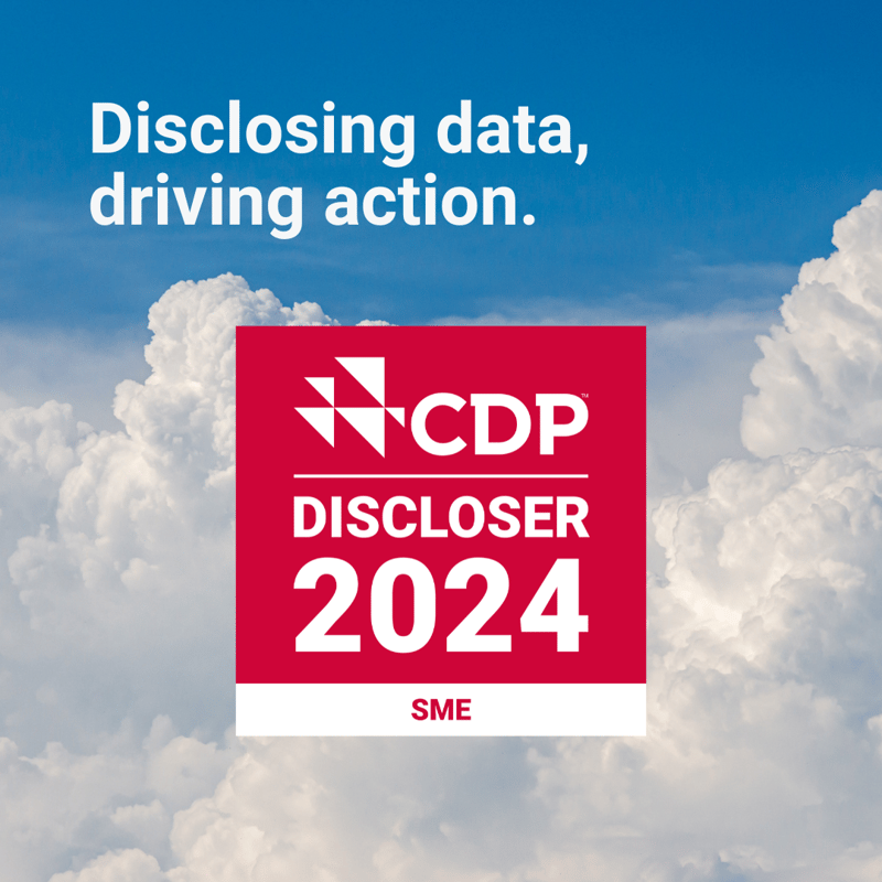 Discloser_2024_-_graphic_-_SMEs_1